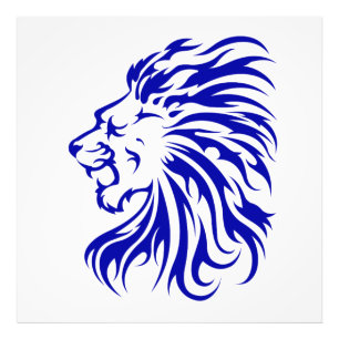 Lion the King of the jungle,lion lover gifts,lion  Photo Print