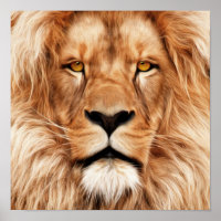 Lion The King Photo Painting