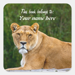Lion "This book belongs to" Sticker