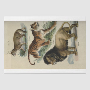 Lion Tiger Puma Ephemera Decoupage Tissue Paper