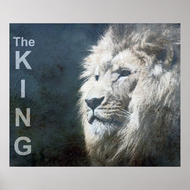 Lion Trendy Template Nature Animal Photo The King Poster (Front)
