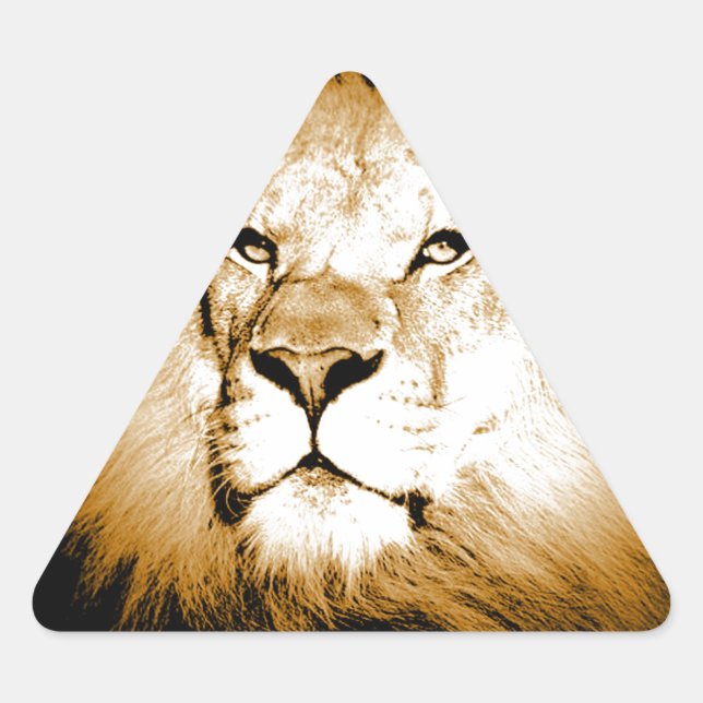 Lion Triangle Sticker (Front)