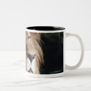 lion Two-Tone coffee mug