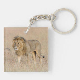 Lion walking key ring