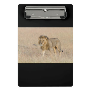 Lion walking mini clipboard