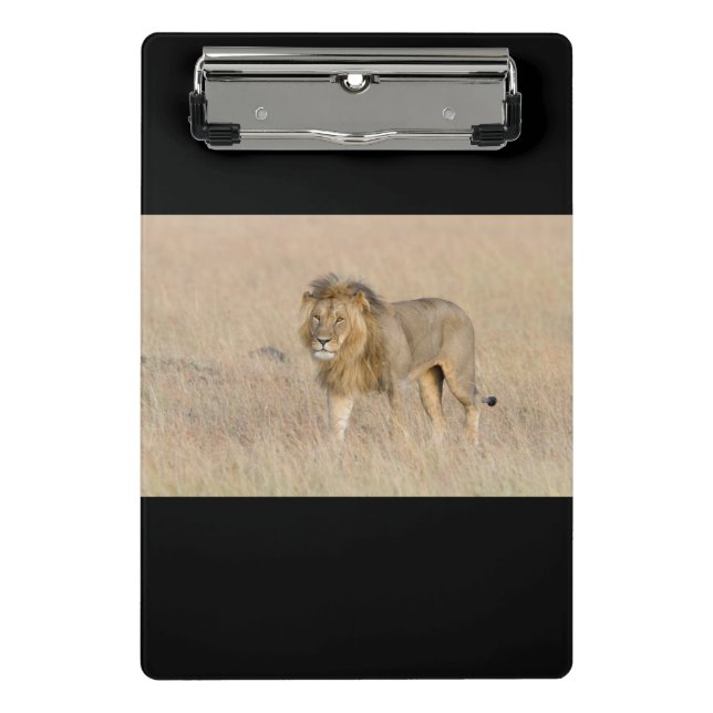 Lion walking mini clipboard (Front)