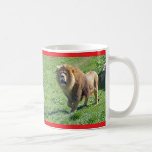 Lion walking on grass coffee mug