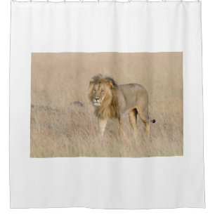 Lion walking shower curtain