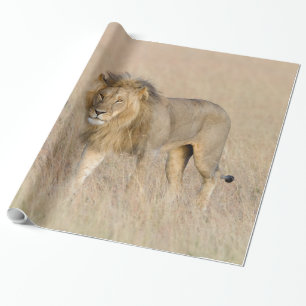 Lion walking wrapping paper
