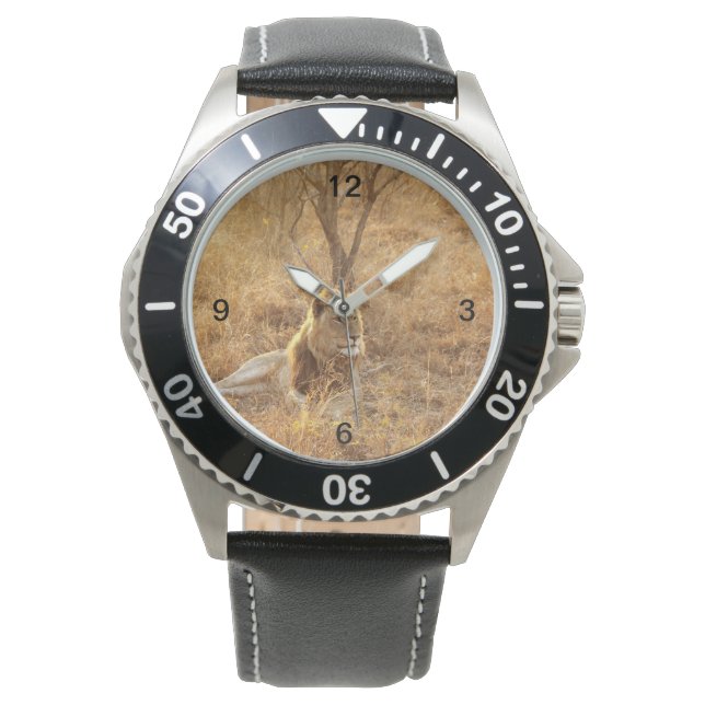 Lion Watch (Front)
