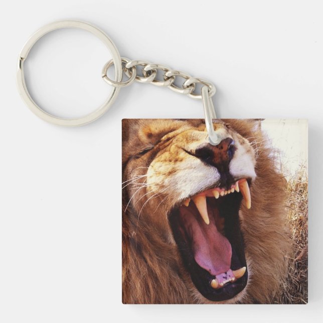 Lion Whisperer Key Ring (Front)