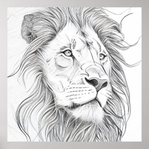 Lion Wild Nature Animal Illustration Art Drawing Poster