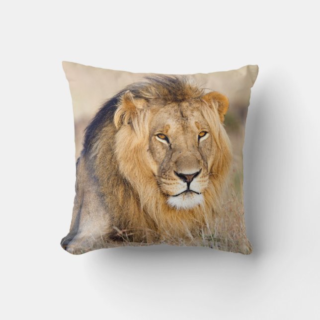Lion wildlife photography safari animal cushion (Front)