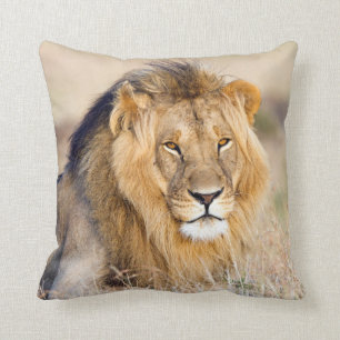 Lion wildlife photography safari animal cushion