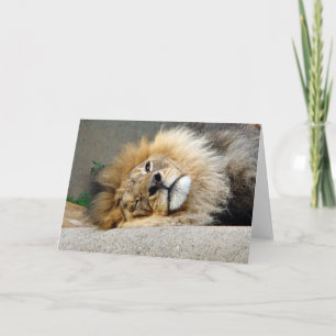 Lion Wink Greeting Card