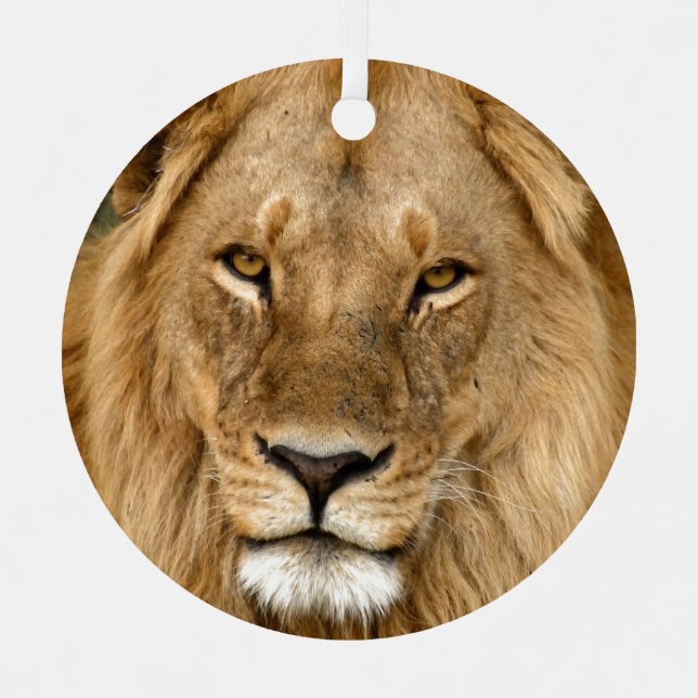 Lion With Great Mane Ceramic Ornament (Front)