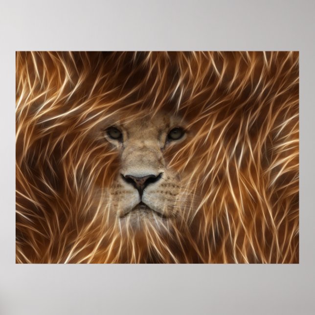 Lion With Long Hair Posters (Front)