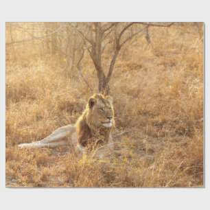 Lion Wrapping Paper
