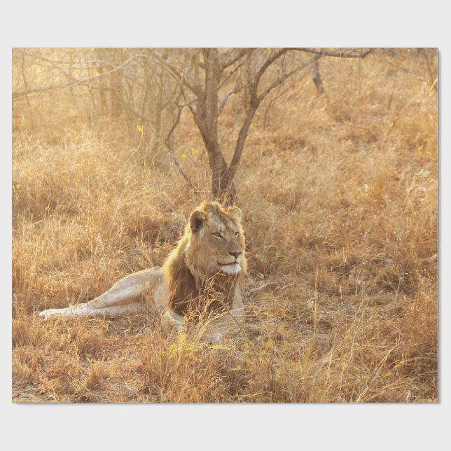 Lion Wrapping Paper (Flat)