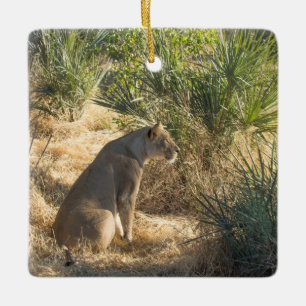 LIONESS 15  BOTSWANA CERAMIC ORNAMENT