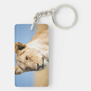 Lioness against blue sky key ring