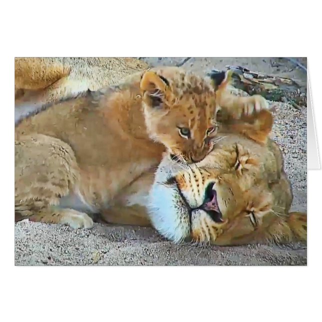 Lioness and cub (Front Horizontal)