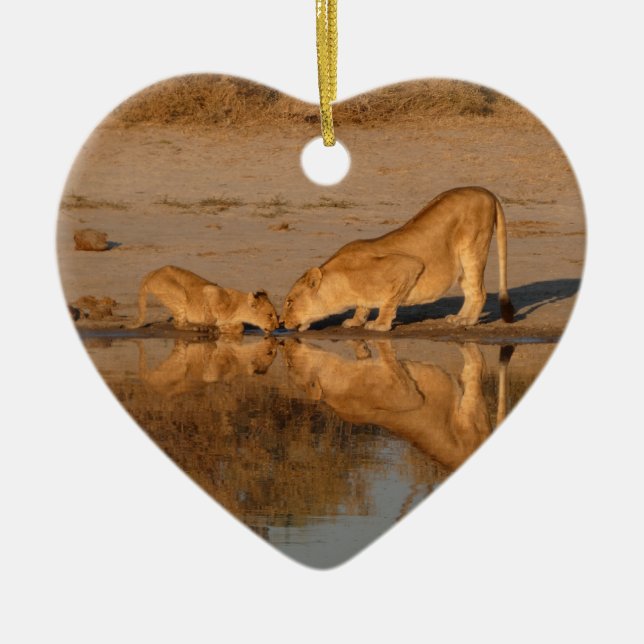 LIONESS AND CUB TAKING A REFLECTED DRINK CERAMIC ORNAMENT (Front)