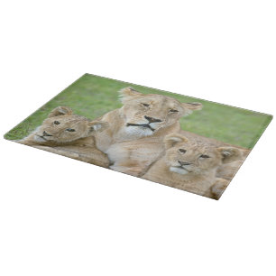 Lioness and Two Cubs, East Africa, Tanzania, Cutting Board