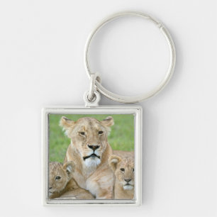 Lioness and Two Cubs, East Africa, Tanzania, Key Ring