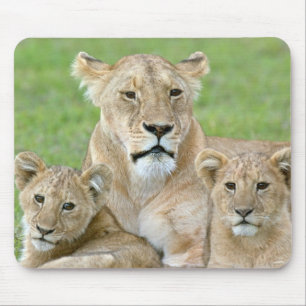 Lioness and Two Cubs, East Africa, Tanzania, Mouse Pad