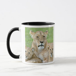 Lioness and Two Cubs, East Africa, Tanzania, Mug