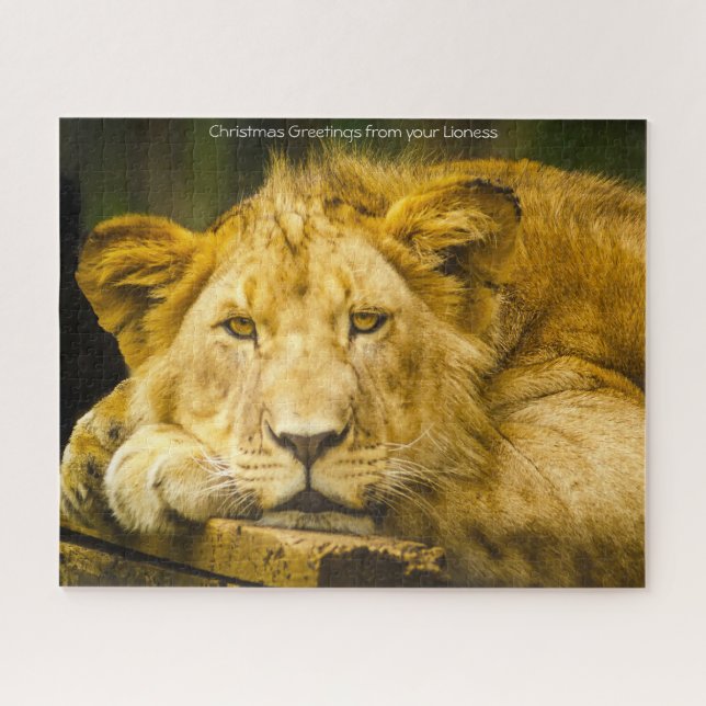 Lioness Big Cats. Jigsaw Puzzle (Horizontal)