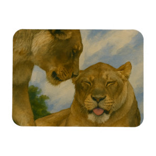 Lioness Companionship in Golden Light Magnet