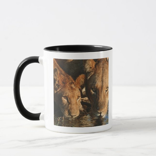Lioness & Cub (Panthera leo) Mug (Left)