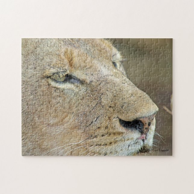 Lioness Face Puzzle (Horizontal)