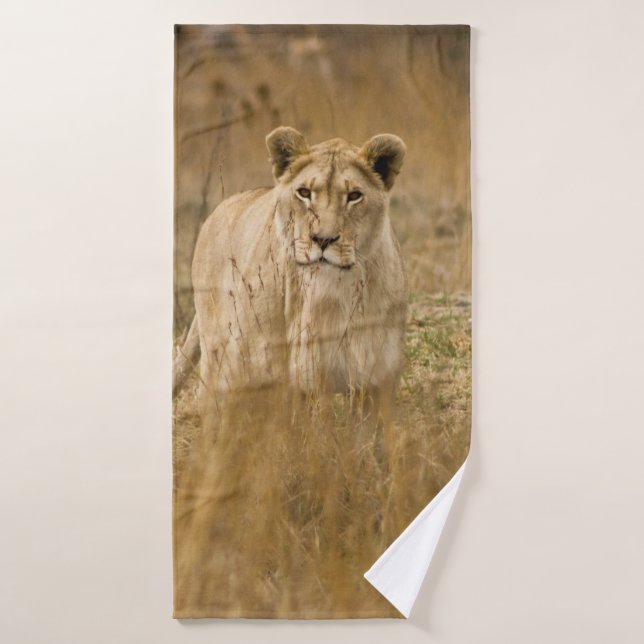 LIONESS IN THE GRASS BATH TOWEL (Bath Towel)