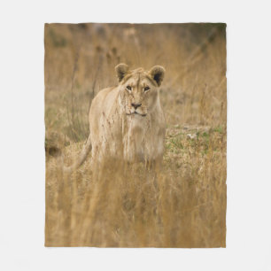 LIONESS IN THE GRASS FLEECE BLANKET