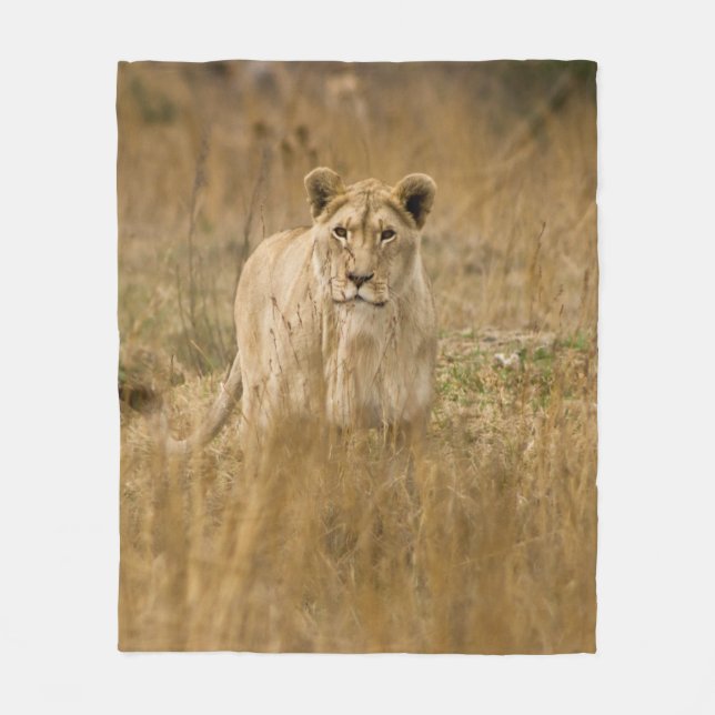 LIONESS IN THE GRASS FLEECE BLANKET (Front)