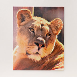 Lioness Jigsaw Puzzle