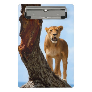 Lioness Mini Clipboard