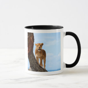 Lioness Mug