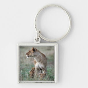 Lioness (Panthera leo) and cubs, Masai Mara Key Ring