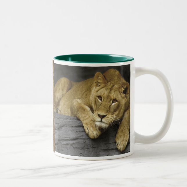 Lioness Photo Mug (Right)