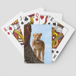 Lioness Playing Cards