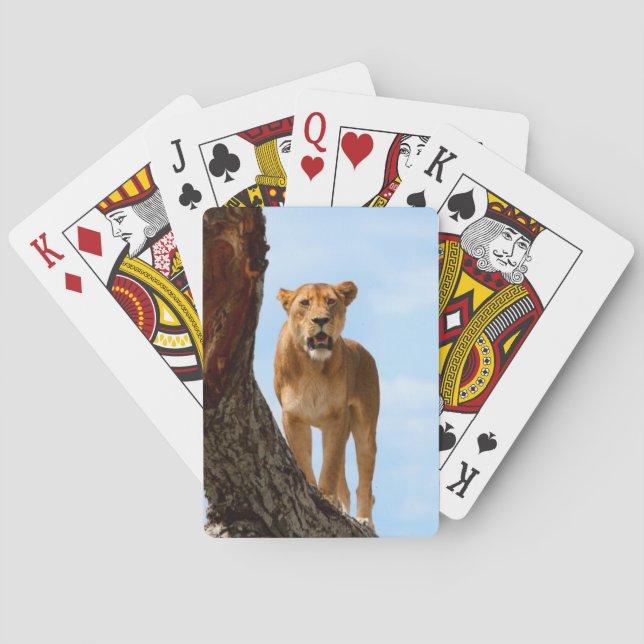 Lioness Playing Cards (Back)