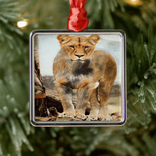 Lioness portrait metal ornament