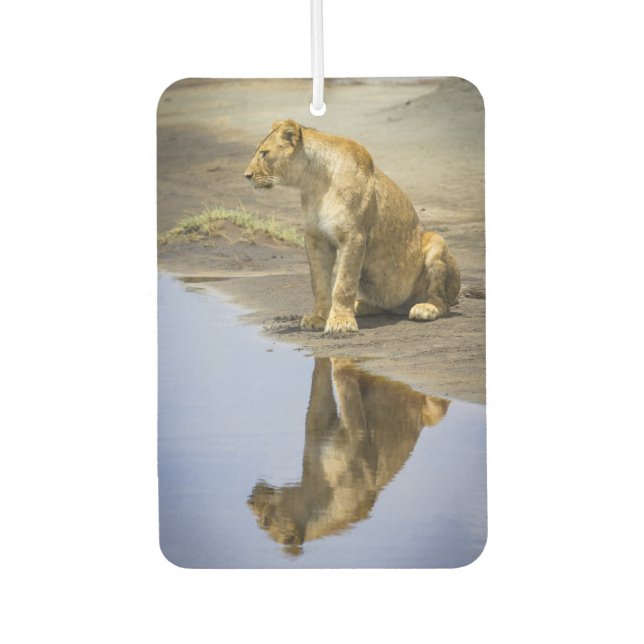 Lioness Reflection Air Freshener (Front)
