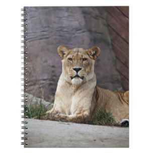 LIONESS RELAXING NOTEBOOK