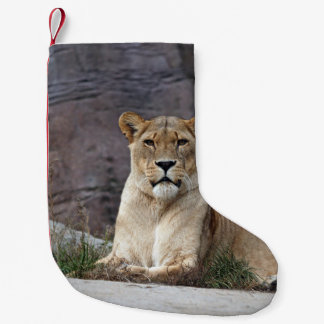 LIONESS RELAXING SMALL CHRISTMAS STOCKING
