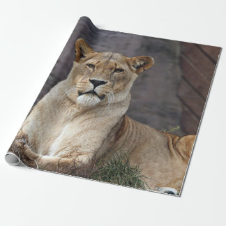 LIONESS RELAXING WRAPPING PAPER